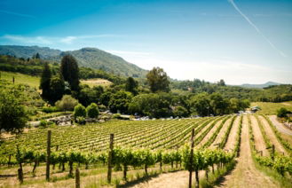 landscape-photography-of-farm.jpg landscape photography of farm
